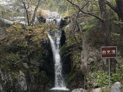 -灵山