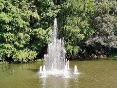 -上海共青森林公园