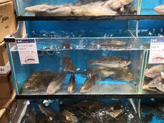 水产区-盒马鲜生(曜一城店)