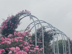 -尚贤河湿地