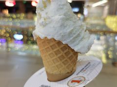 -野人先生现做冰淇淋(北京环宇荟店)