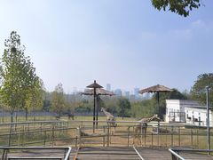 -合肥野生动物园