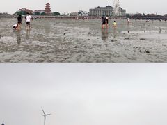 -奉贤海滩