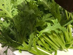 -皇城老妈·大连海鲜火锅(港湾店)