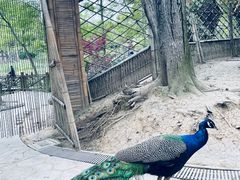-扬州市茱萸湾风景区