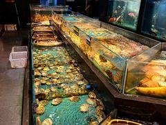 -龙宴海鲜城(经中路店)