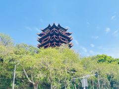 -黄鹤楼公园(黄鹤楼)