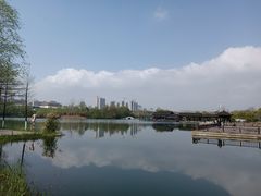 -洋湖国家湿地公园