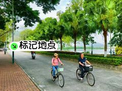 -风云岭森林公园