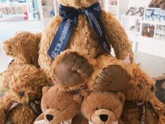 -成都泰迪熊博物馆