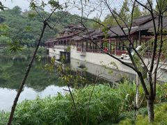 -重庆彩云湖湿地公园