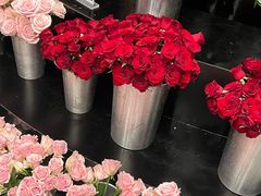 -HELEN FLORAL DESIGN(海上世界文化艺术中心店)
