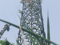 -武汉紫薇都市田园