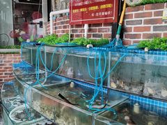 水产区-蟹谢蒸鲜自助餐厅