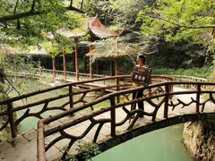-酒仙湖景区