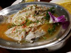 -荷花泰菜(东方新天地店)