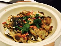 -新光酒家·河豚·海鲜·蟹料理(浦东店)