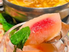 -杨小佳·齐齐哈尔烤肉·烤串(广州店)