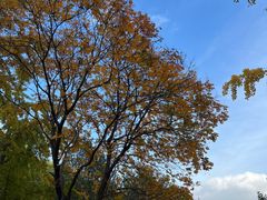 -元大都城垣遗址公园