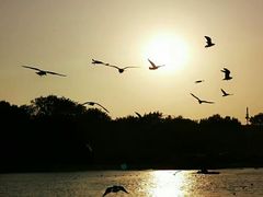 -北戴河东海水浴场