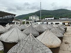 -苏州市吴中区光福窑上花果蜜饯厂