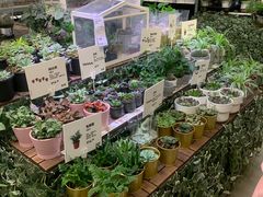 -IKEA宜家家居(南京商场)