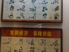 -广东中医药博物馆