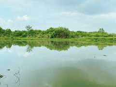 -中国天府农业博览园