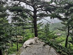 -崂山仰口游览区