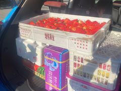 -西郊国际农产品交易中心