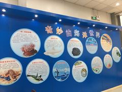 -上海海洋大学鱼文化博物馆(军工路校区)