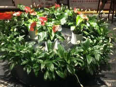 -大鸭梨烤鸭(枣园店)