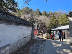 -阳台山自然风景区