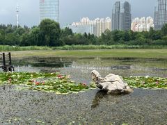 -群力丁香公园