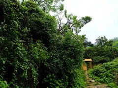 -岳麓山风景名胜区