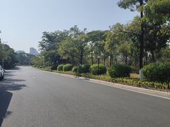 -厦门理工学院(集美校区)