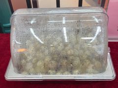 -皮记海鲜1995(寮步店)
