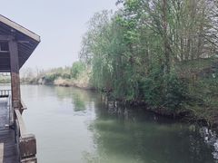 -溱湖国家湿地公园