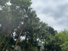 -碧水湾温泉