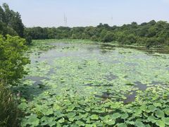 -东湖落雁景区