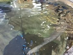 -鸿通城购物中心