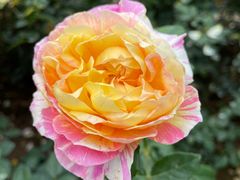 -人民公园(罗湖区)