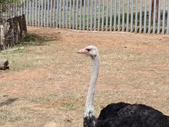 -沈阳森林动物园