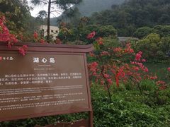 -紫云谷景区