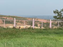 -波浪谷