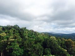 -热带雨林自然公园