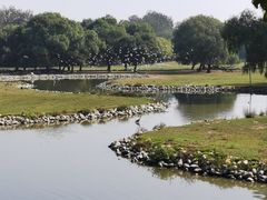 -北京麋鹿生态实验中心