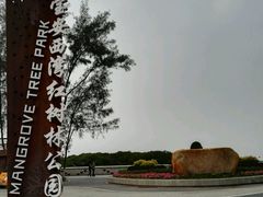 -宝安西湾红树林湿地公园