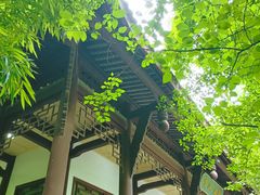 -望江楼公园