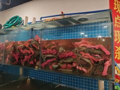 -辣螃铠盆盆蟹大排档(总店)